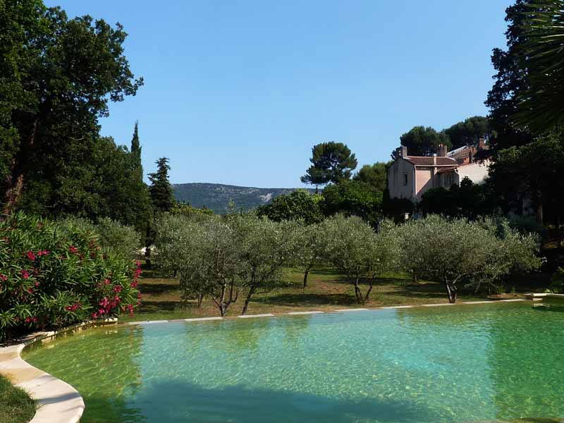 La piscine.