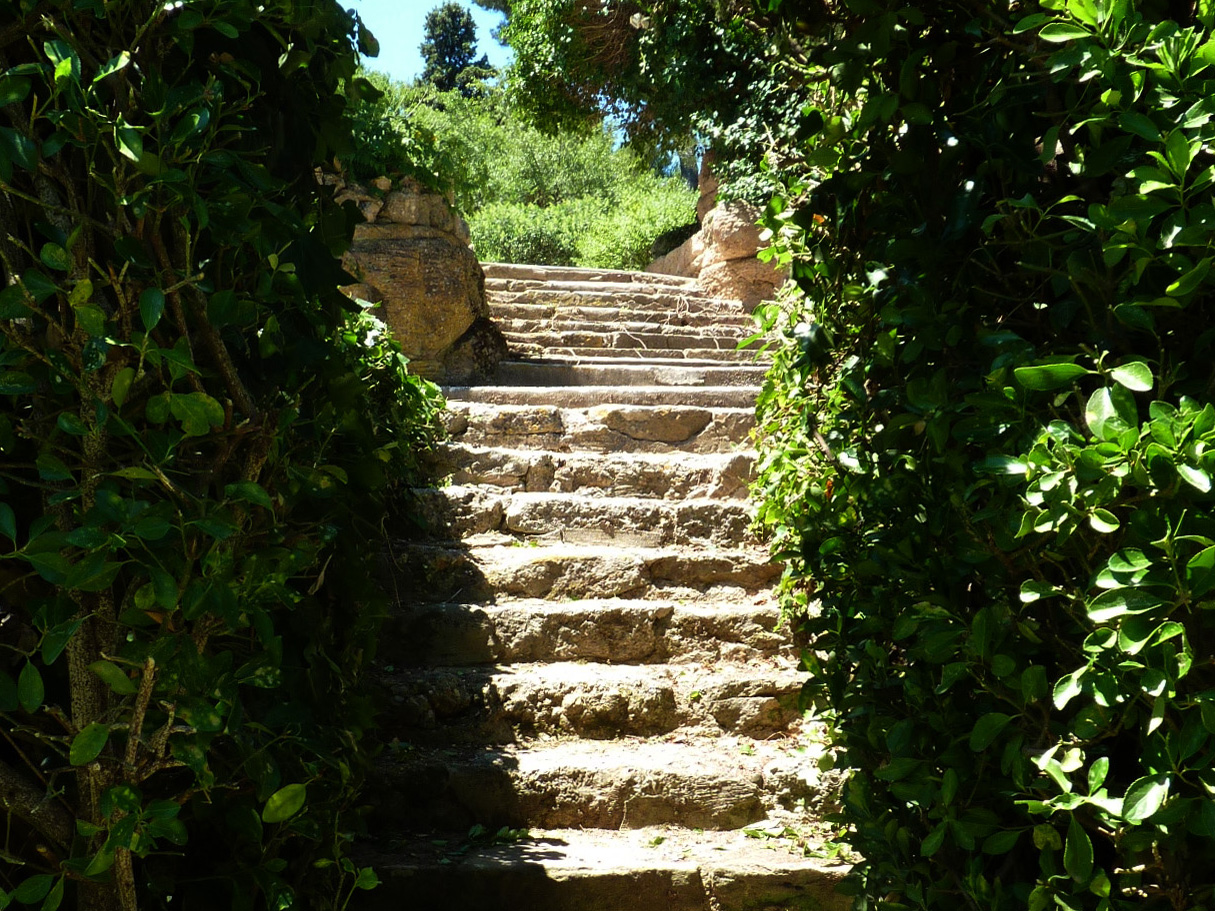 Le jardin de la maison.